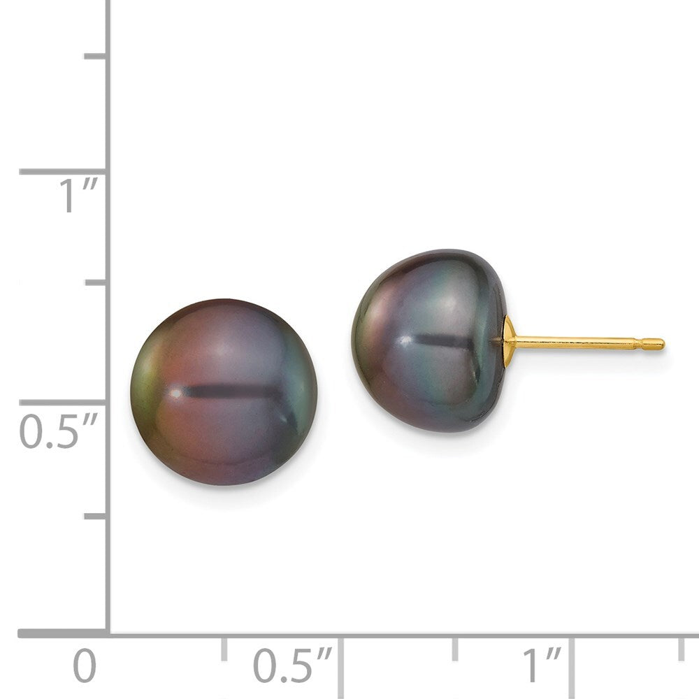14k Yellow Gold 10-11mm Black Button Freshwater Cultured Pearl Stud Earrings