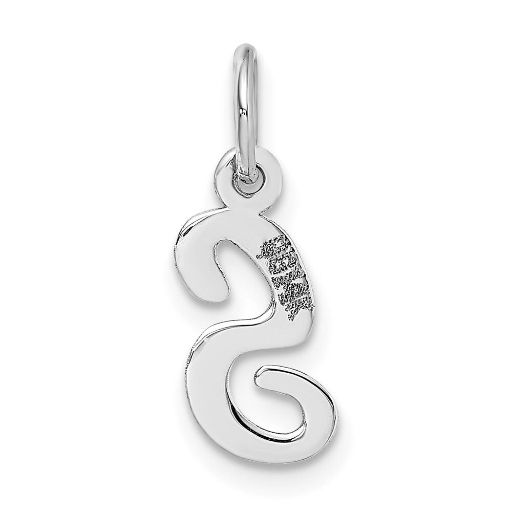 14k White Gold Small Script Letter S Initial Charm Pendant for Women