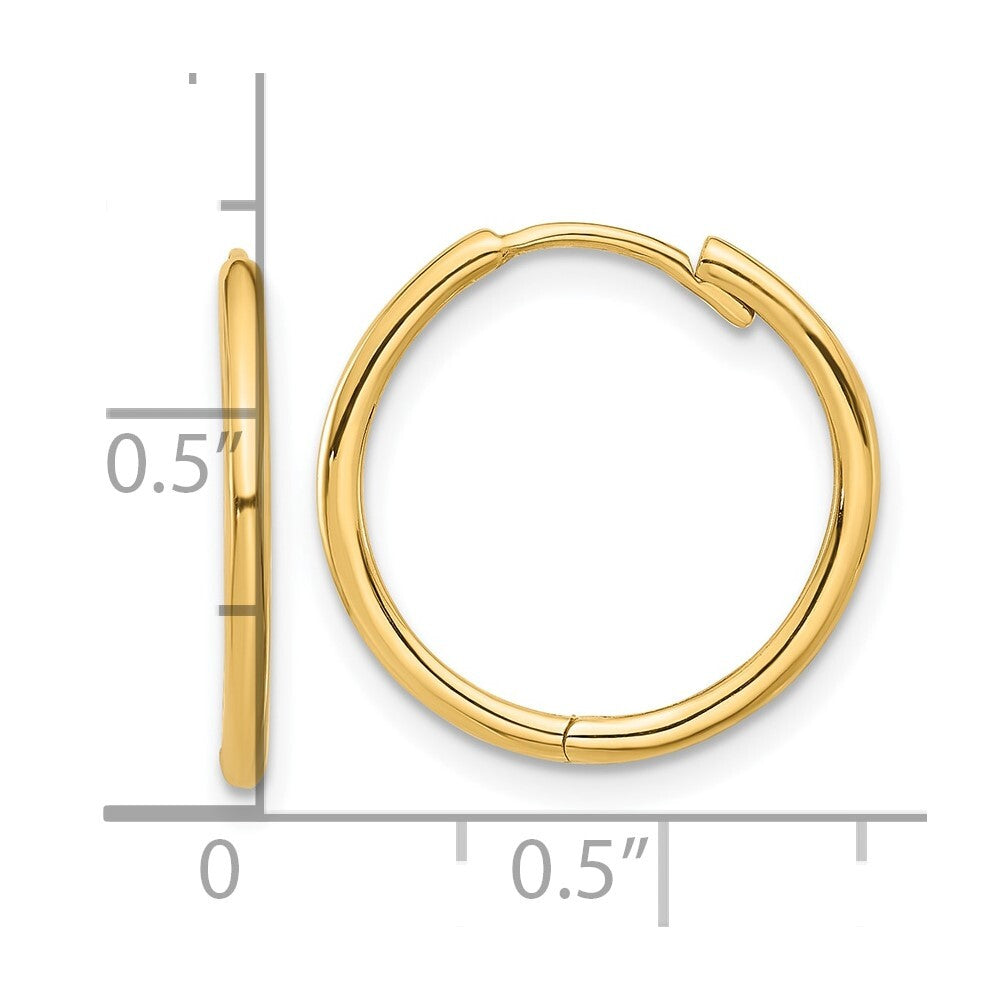 14k Yellow Gold Polished Hinged Hoop Earrings Gift for Women