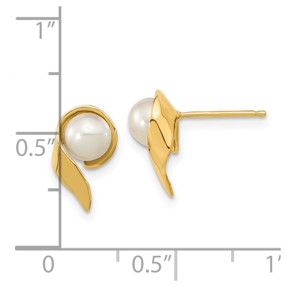 14k Yellow Gold 5-6mm White Button Freshwater Cultured Pearl Stud Earrings