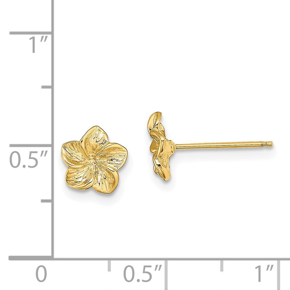 14k Yellow Gold Plumeria Flower Stud Earrings Gift for Women