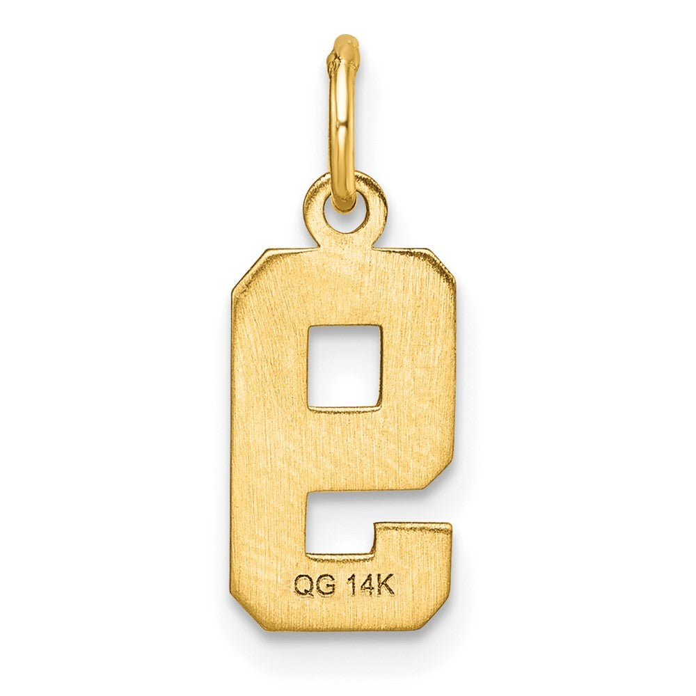14k Yellow Gold Small Brushed Diamond-cut Number 9 Charm