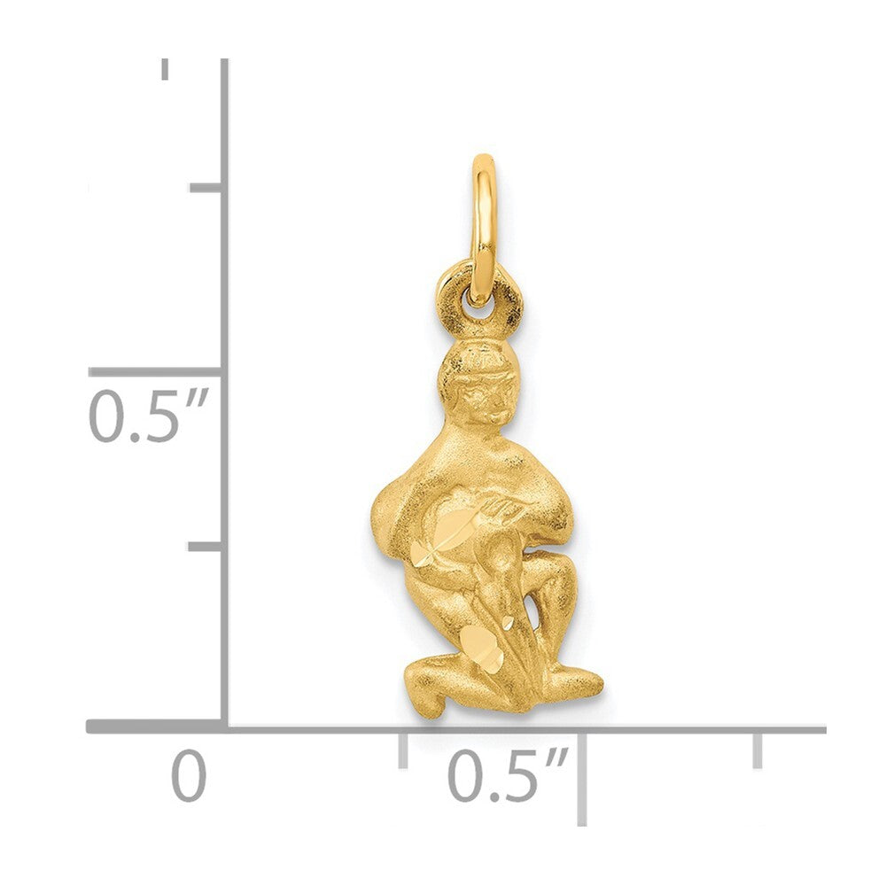 14k Yellow Gold Satin Diamond-cut Aquarius Zodiac Charm Pendant for Women