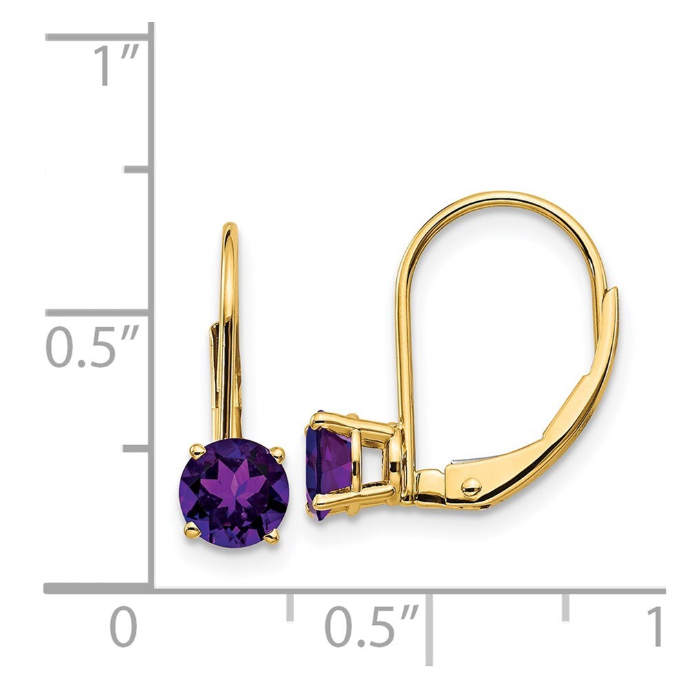 14k Yellow Gold 5mm Amethyst Leverback Earrings Gift for Women