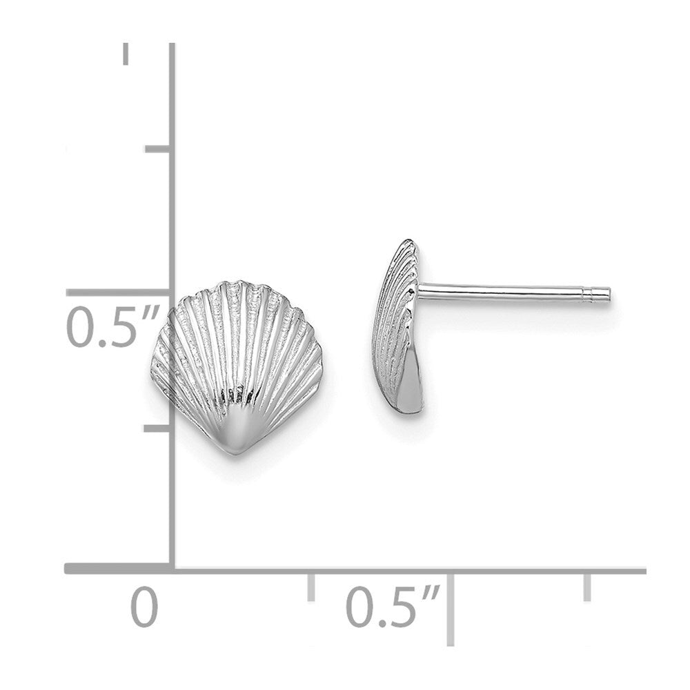 14K White Gold Scallop Shell Stud Earrings Gift for Women