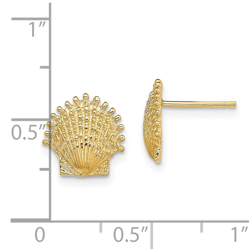 14k Yellow Gold Beaded Scallop Shell Stud Earrings Gift for Women