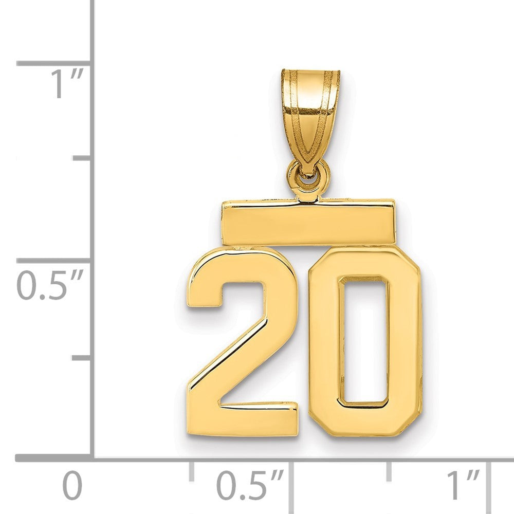14k Yellow Gold Polished Small Number 20 Charm