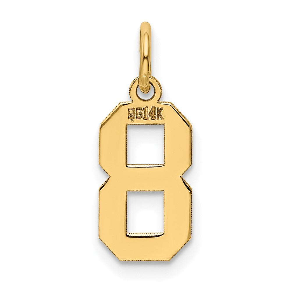 14k Yellow Gold Small Polished Number 8 Charm
