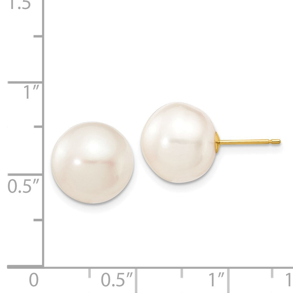 14k Yellow Gold 11-12mm White Button Freshwater Cultured Pearl Stud Earrings