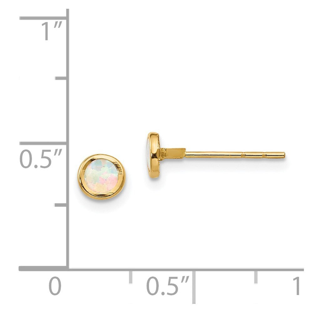 14k Yellow Gold Polished Lab Created Opal Bezel Stud Earrings Gift for Women