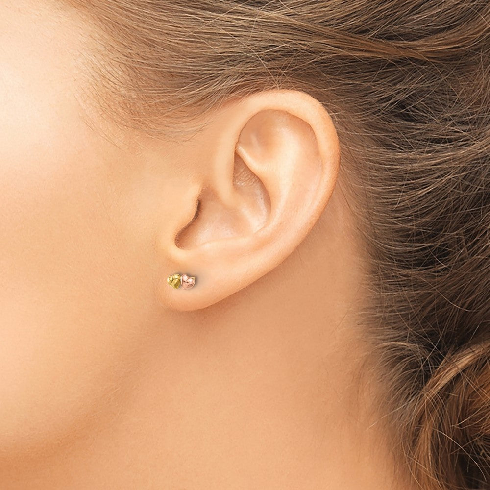 14K Two-tone Gold Double Hearts Screwback Earrings