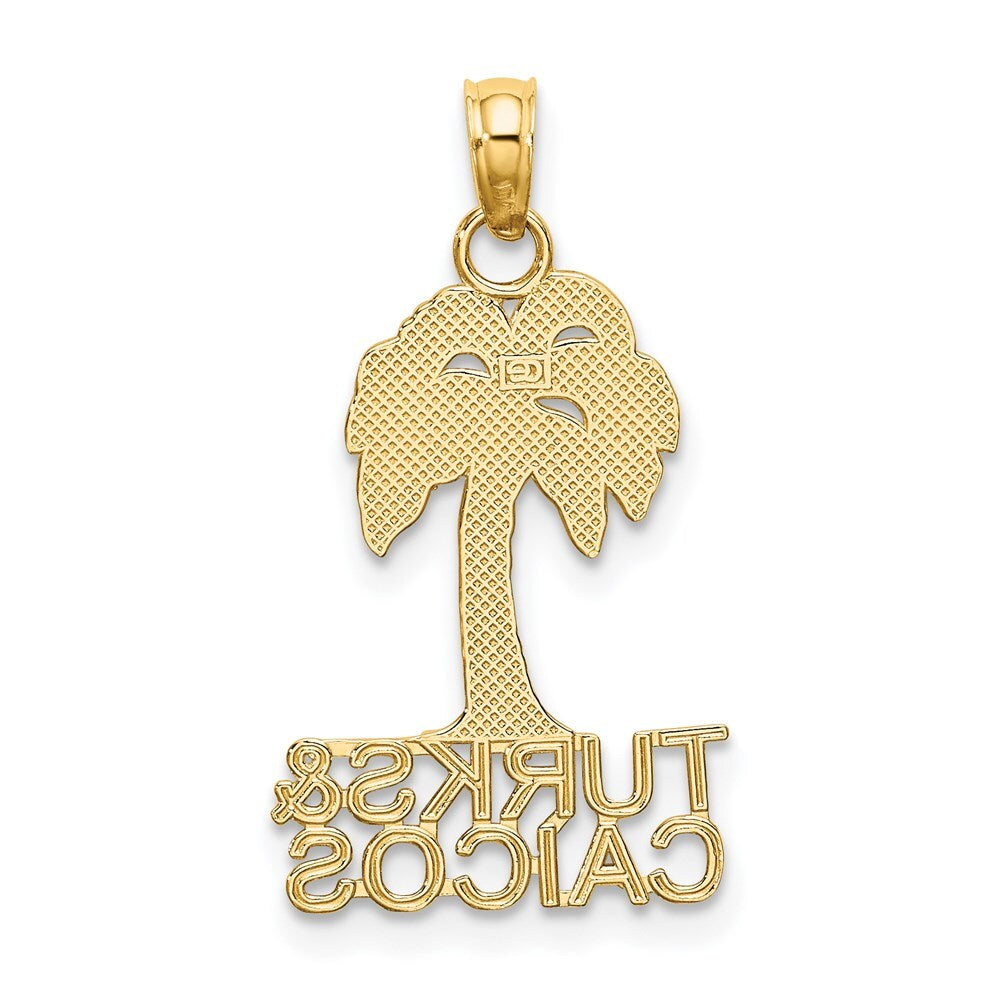 14k Yellow Gold TURKS AND CAICOS Palm Tree Charm Pendant for Women