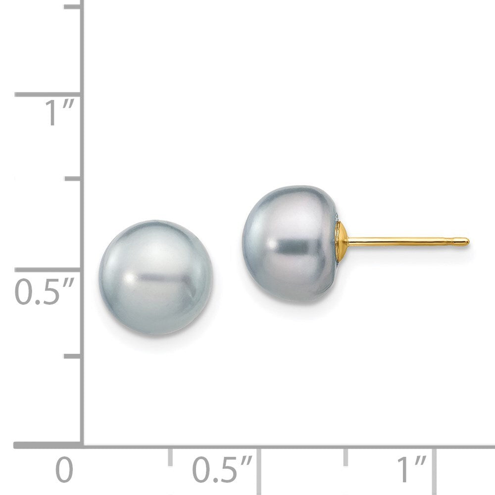 14k Yellow Gold 8-9mm Grey Button Freshwater Cultured Pearl Stud Earrings