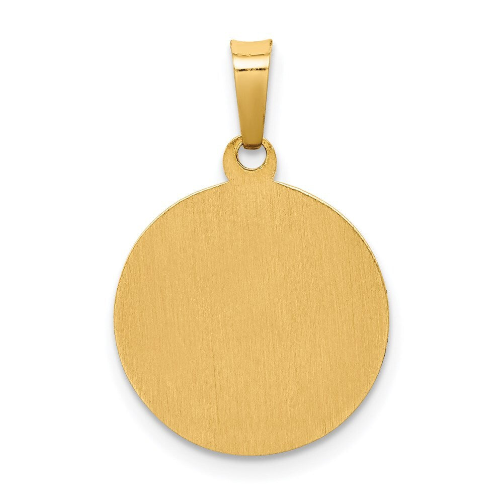 14k Yellow Gold Polished and Satin St Francis Medal Hollow Pendant for Women