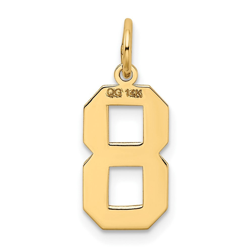 14k Yellow Gold Medium Satin Number 8 Charm