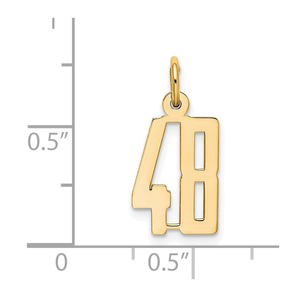 14k Yellow Gold Small Elongated Number 48 Charm Pendant for Women
