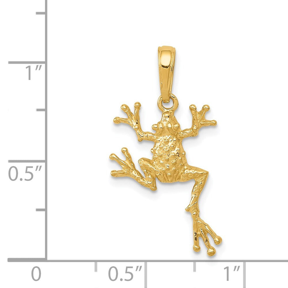 14k Yellow Gold Solid Polished Open-Backed Frog Pendant for Women