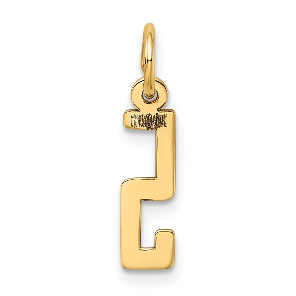 14k Yellow Gold Small Elongated Number 5 Charm