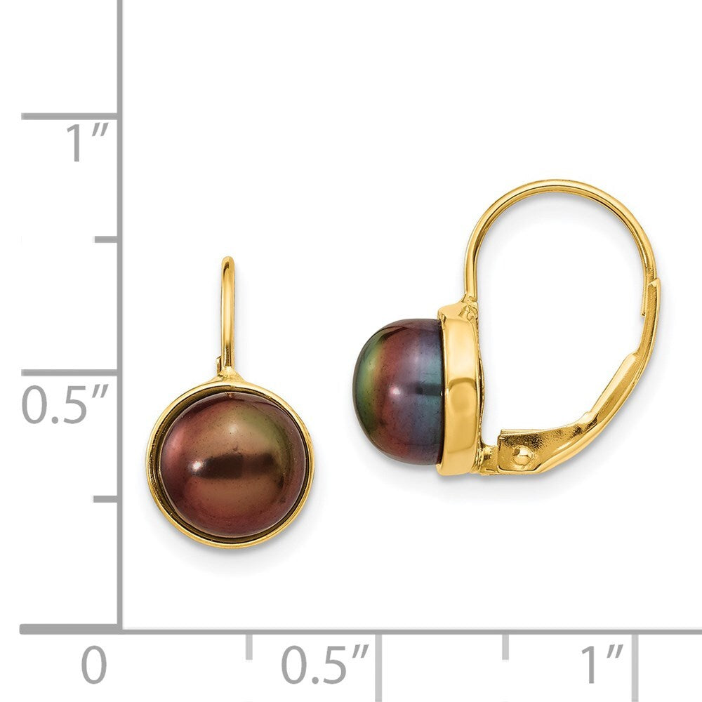 14k Yellow Gold 6-7mm Black Button Freshwater Cultured Pearl Leverback Earrings