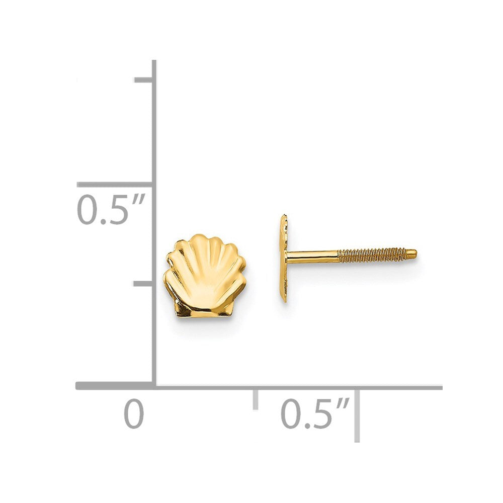 14k Yellow Gold Shell Stud Earrings