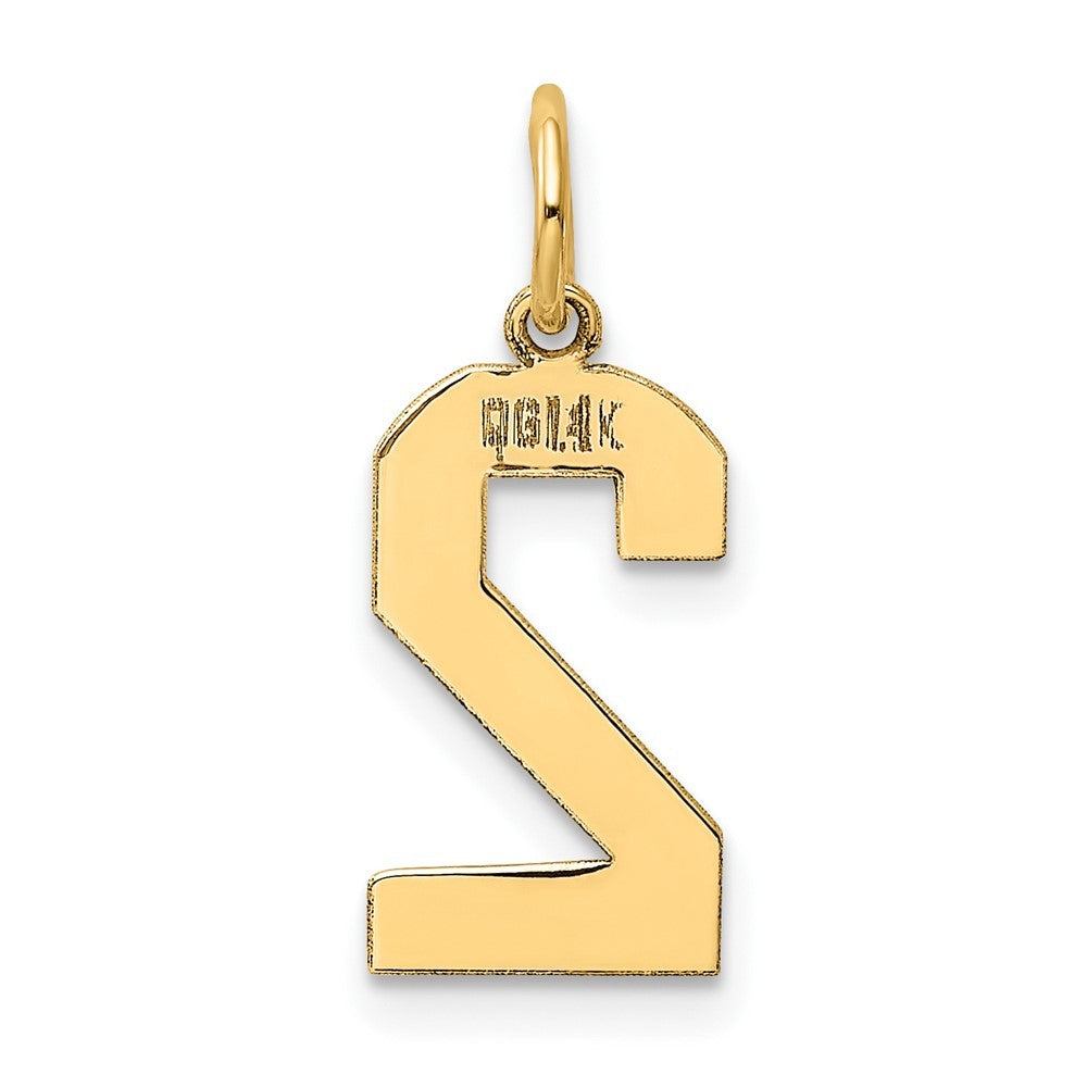 14k Yellow Gold Medium Polished Number 2 Charm