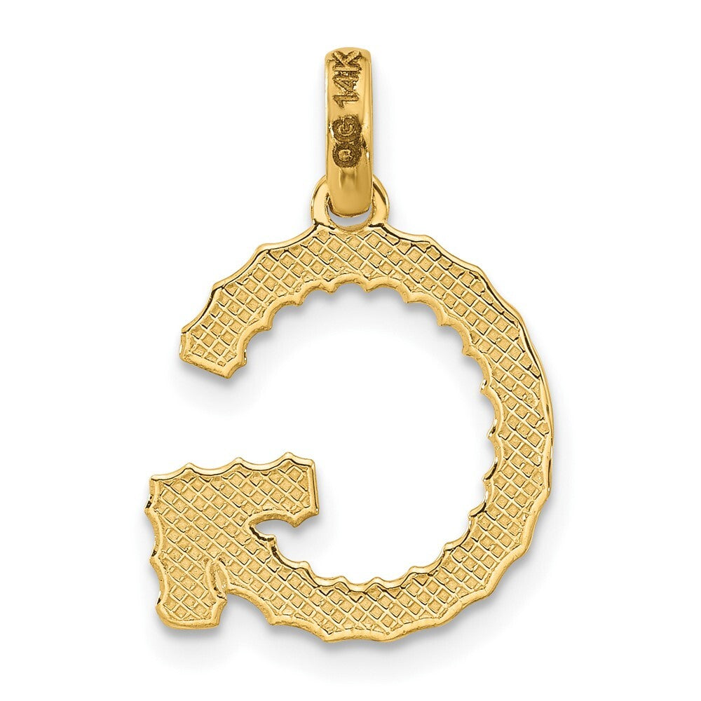 14k Yellow Gold Fancy Twist Letter G Pendant for Women