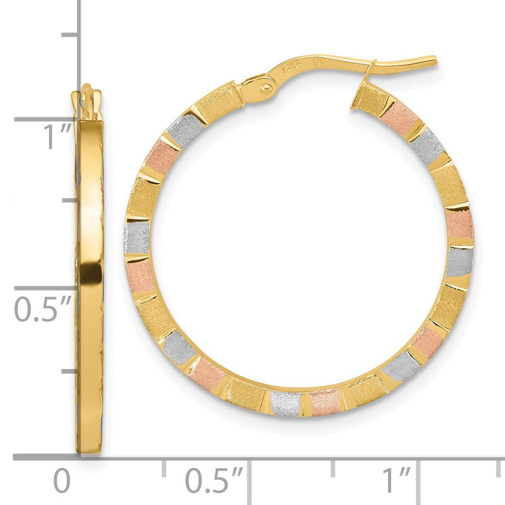 14k Yellow Gold w/White & Rose Rhodium Polished & Satin Hoop Earrings