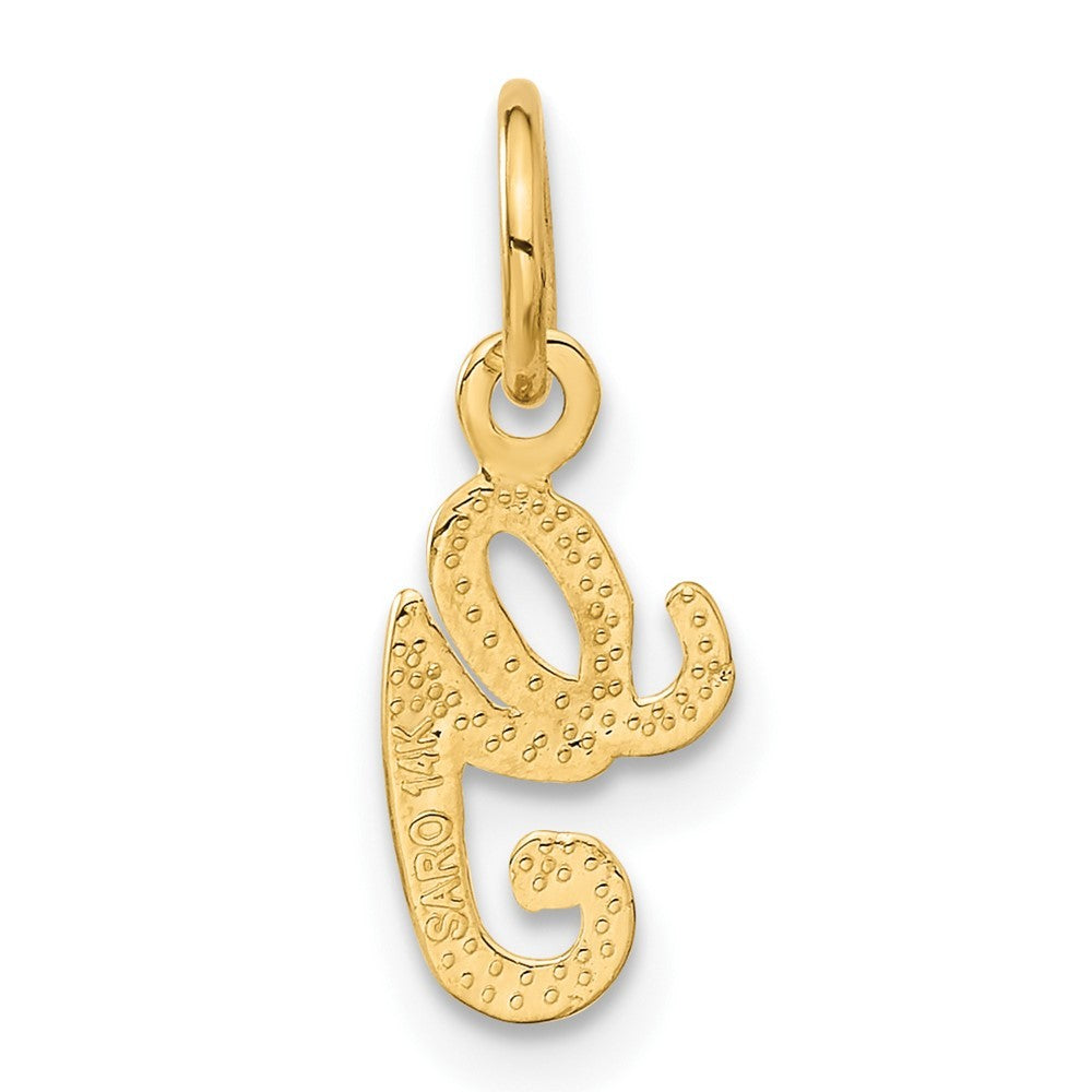 14k Yellow Gold Script Letter G Initial Charm