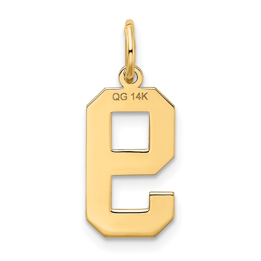 14k Yellow Gold Medium Satin Number 9 Charm
