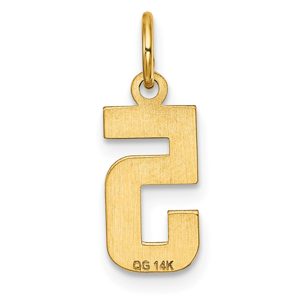 14k Yellow Gold Small Brushed Diamond-cut Number 5 Charm