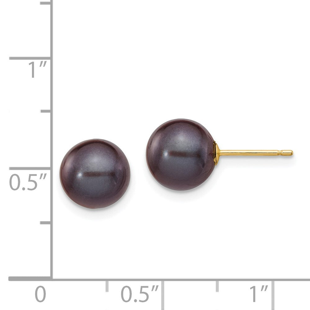 14k Yellow Gold 8-9mm Black Round Freshwater Cultured Pearl Stud Earrings