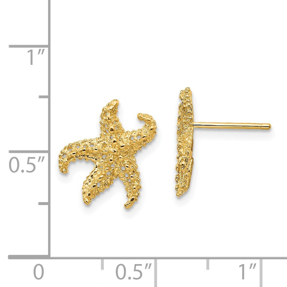 14k Yellow Gold Starfish Stud Earrings Gift for Women