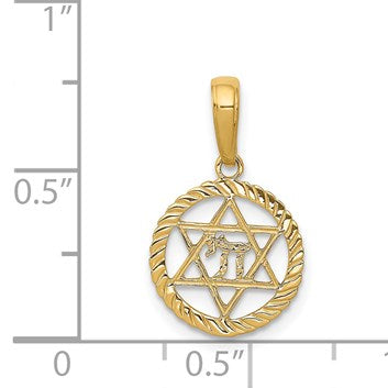 14K Star of David and Chai in Circle Pendant