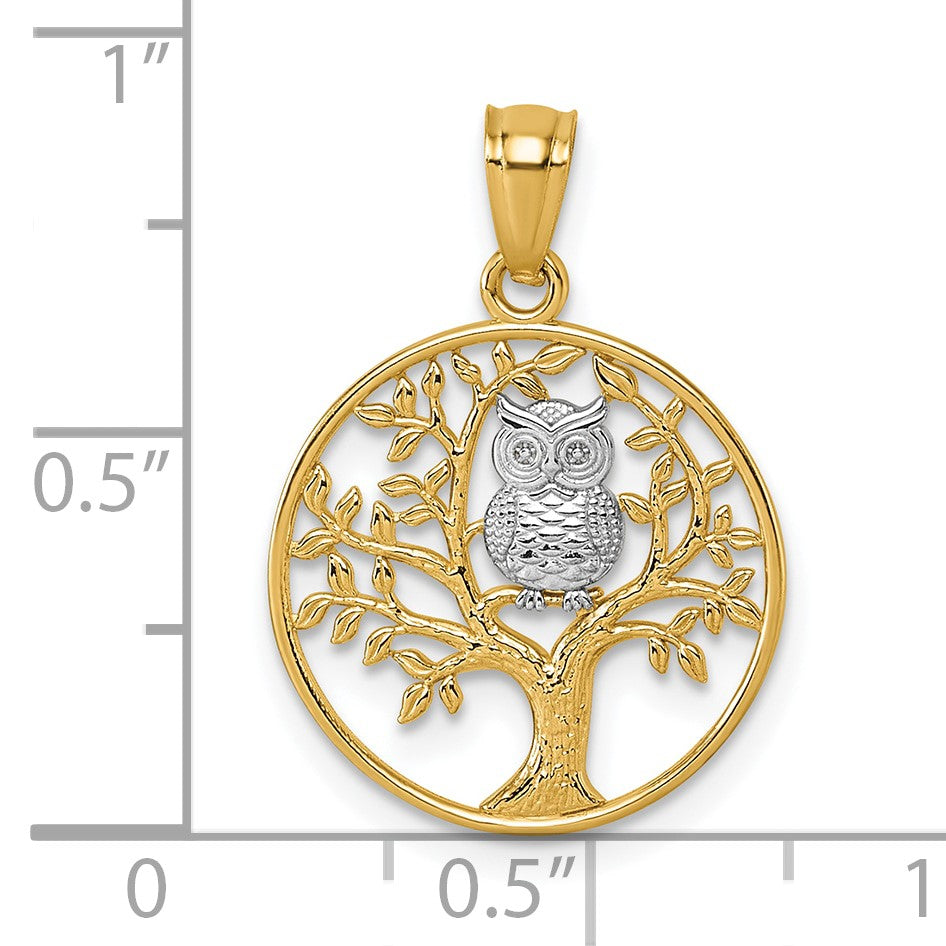 14k and White Rhodium Textured Owl Sitting In Tree In Circle Pendant