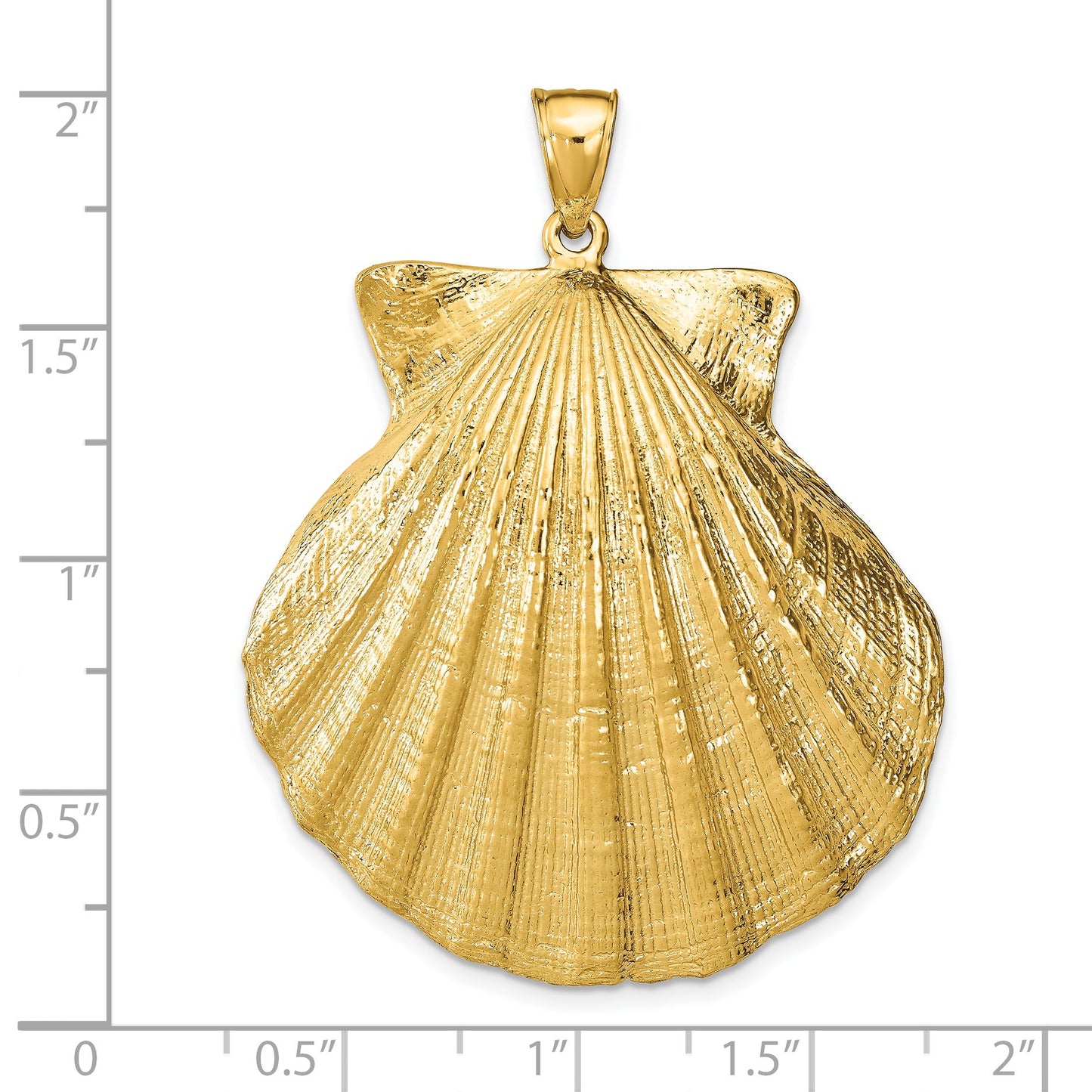 14k Large Scallop Shell Pendant