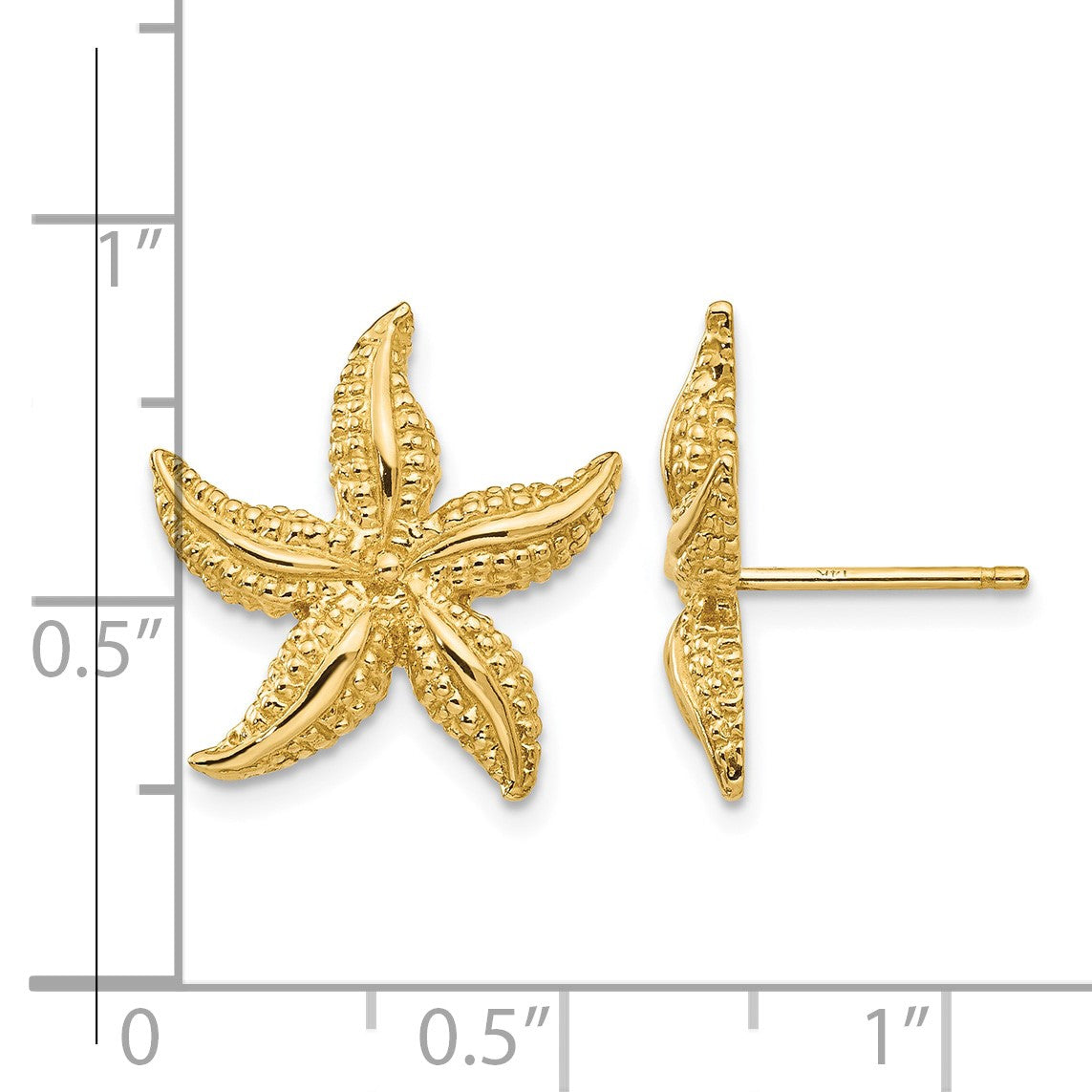14k Starfish Post Earrings