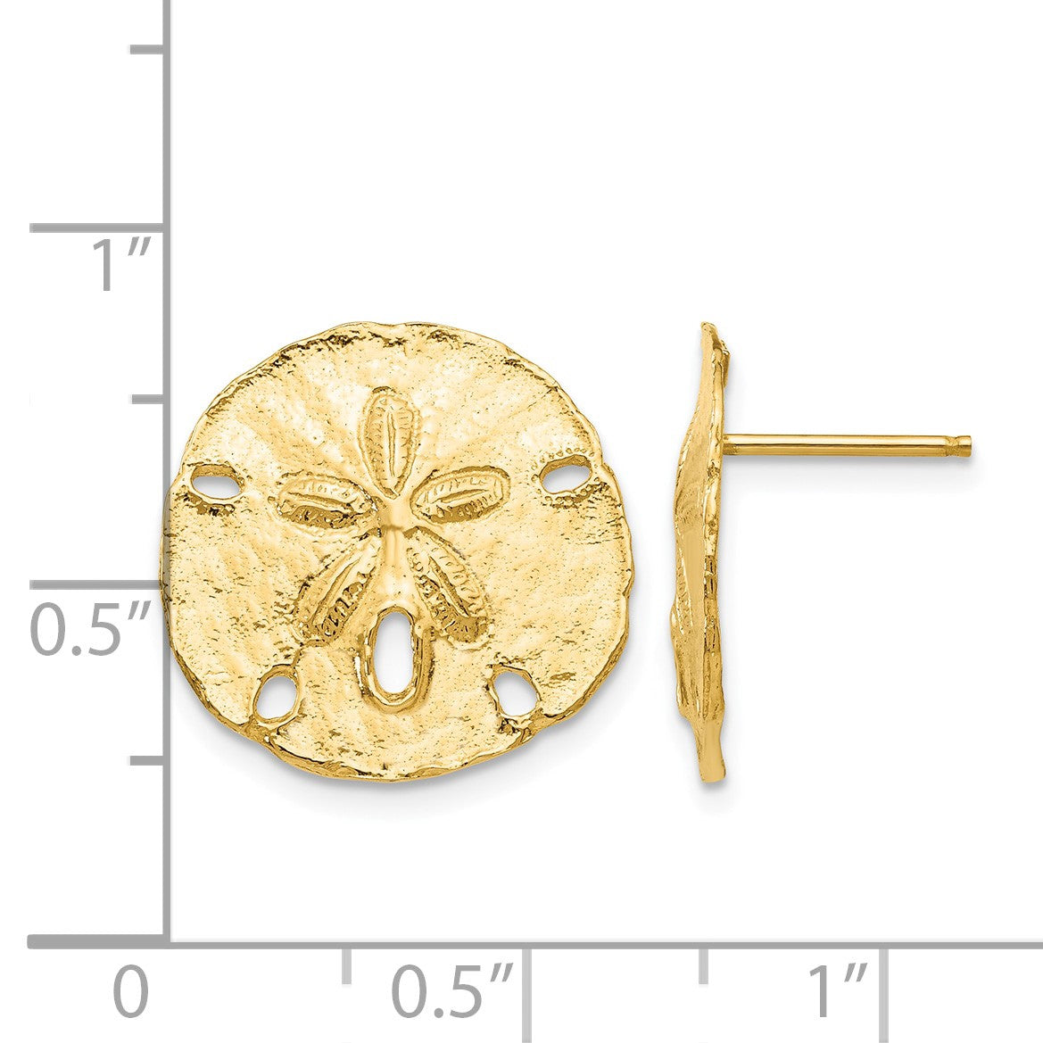 14k Large Sanddollar Post Earrings