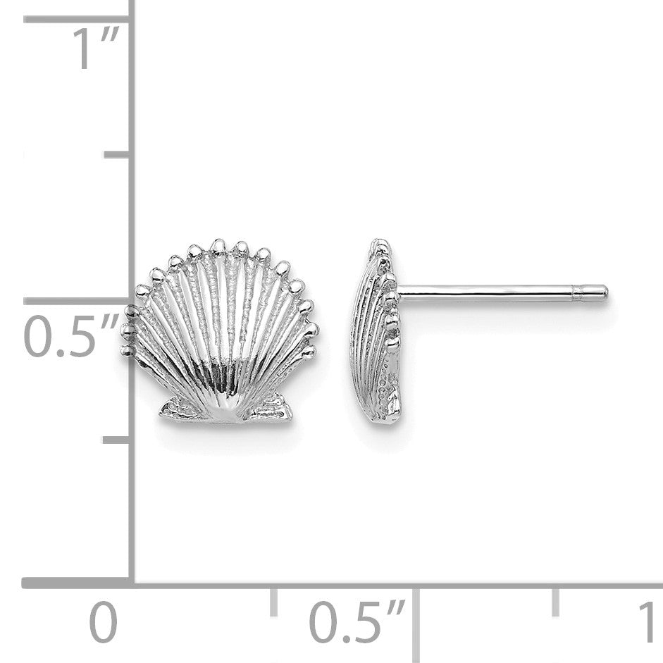 14K White Gold Scallop Shell Post Earrings