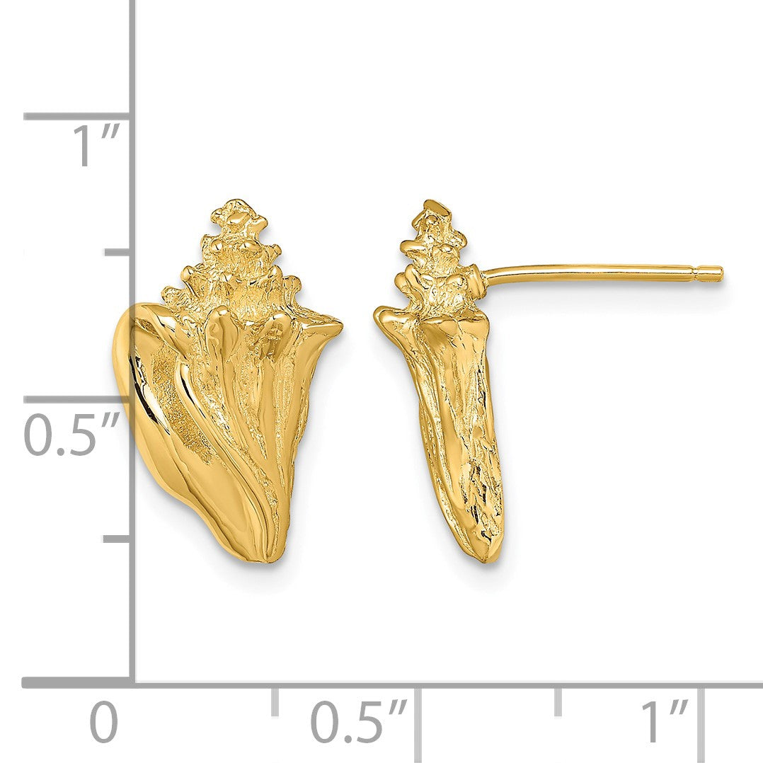14K 2-D Conch Shell Post Earrings