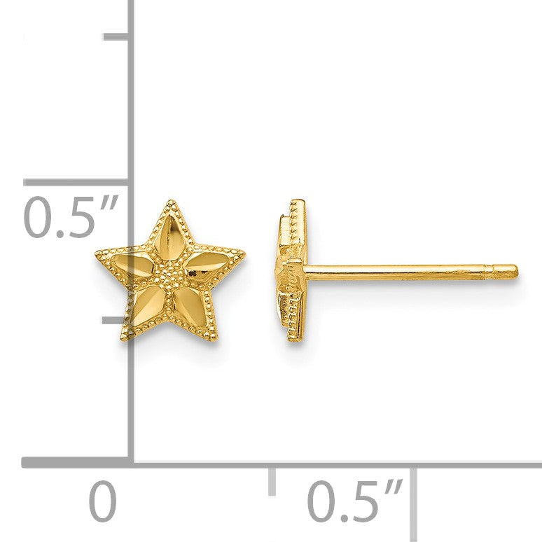 14k Polished Diamond-cut Star Post Earrings