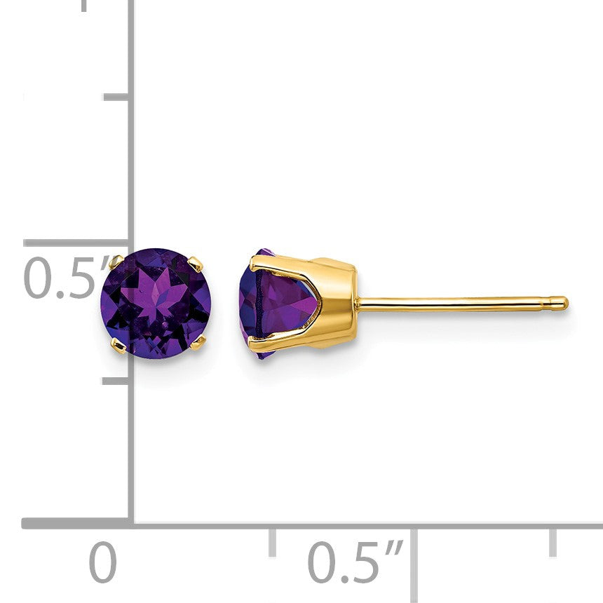 14k 5mm Round Amethyst Earrings - February
