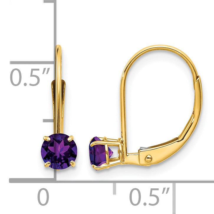 14k 4mm Round February/Amethyst Leverback Earrings