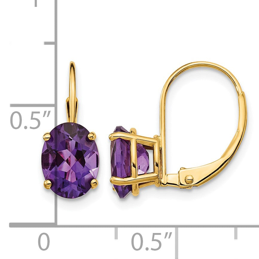 14k 8x6mm Oval Amethyst Leverback Earrings