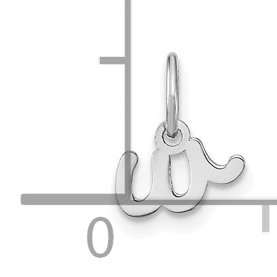 14KW Lower case Letter W Initial Charm