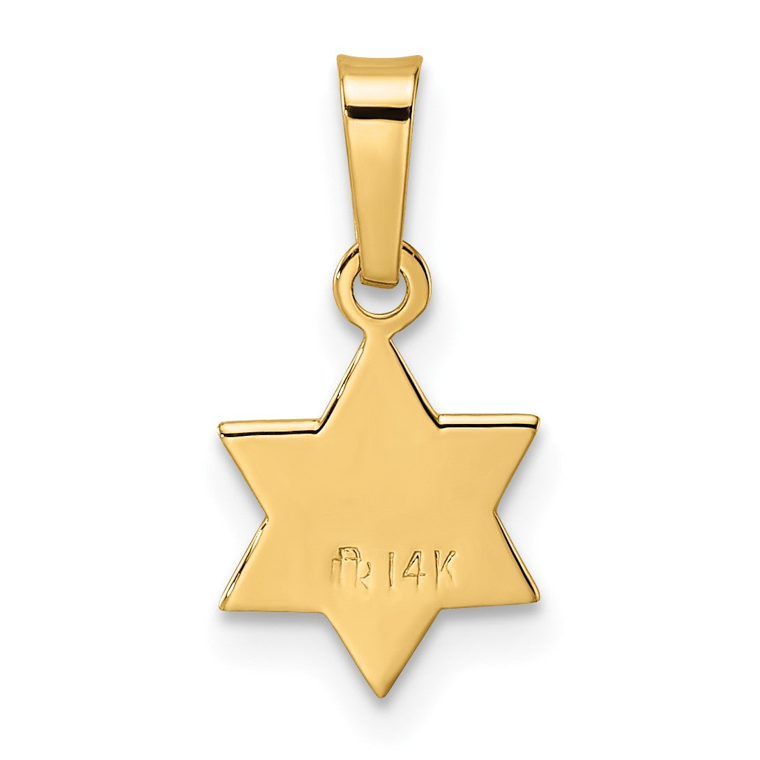 14k Polished and Textured Solid Star of David Pendant