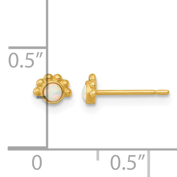 14k Polished and Beaded 5mm Lab Created Opal Post Earrings