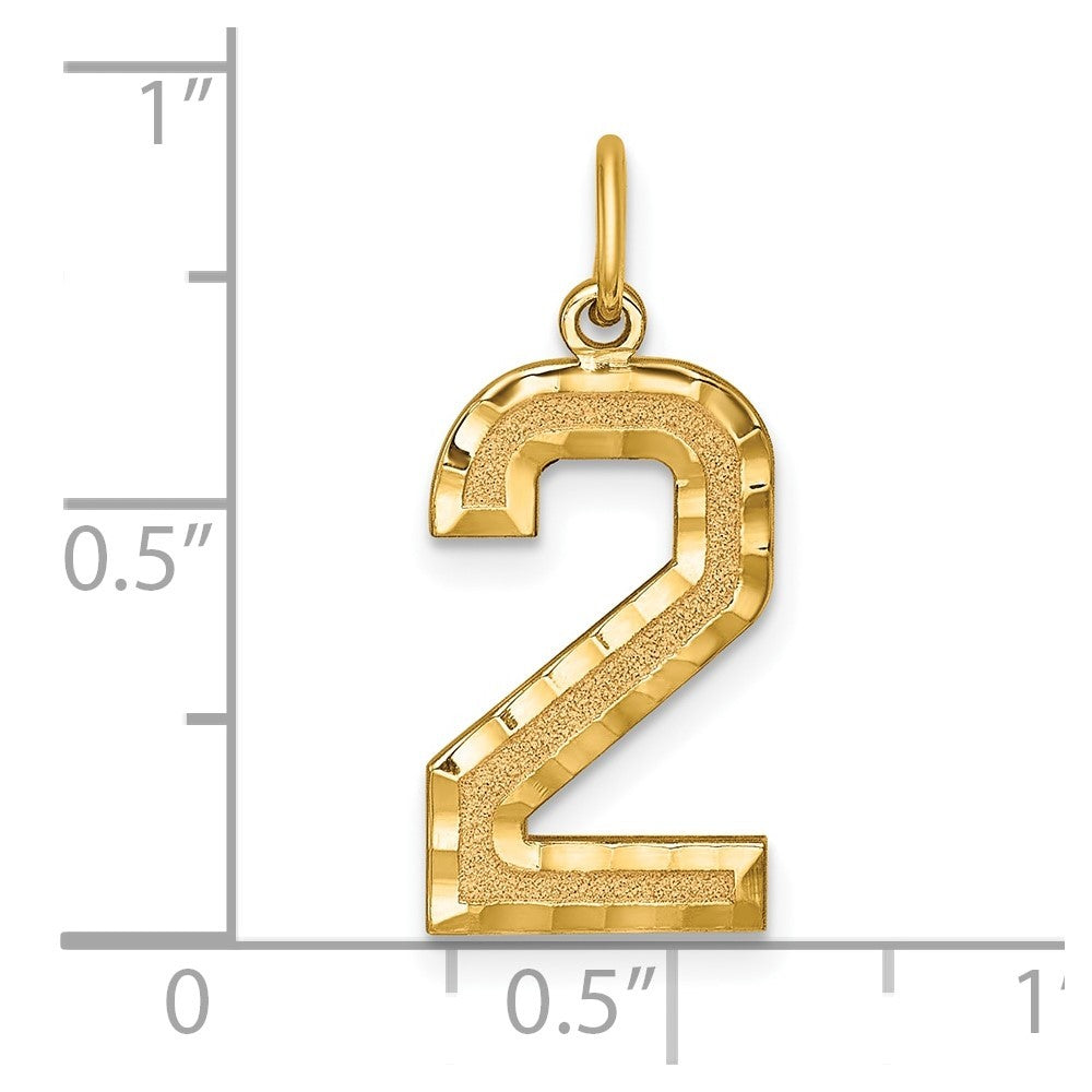 14k Yellow Gold Large Brushed Diamond-cut Number 2 Charm Pendant