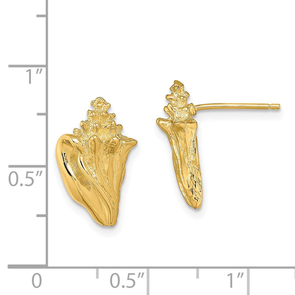 14k Yellow Gold 2-D Conch Shell Stud Earrings