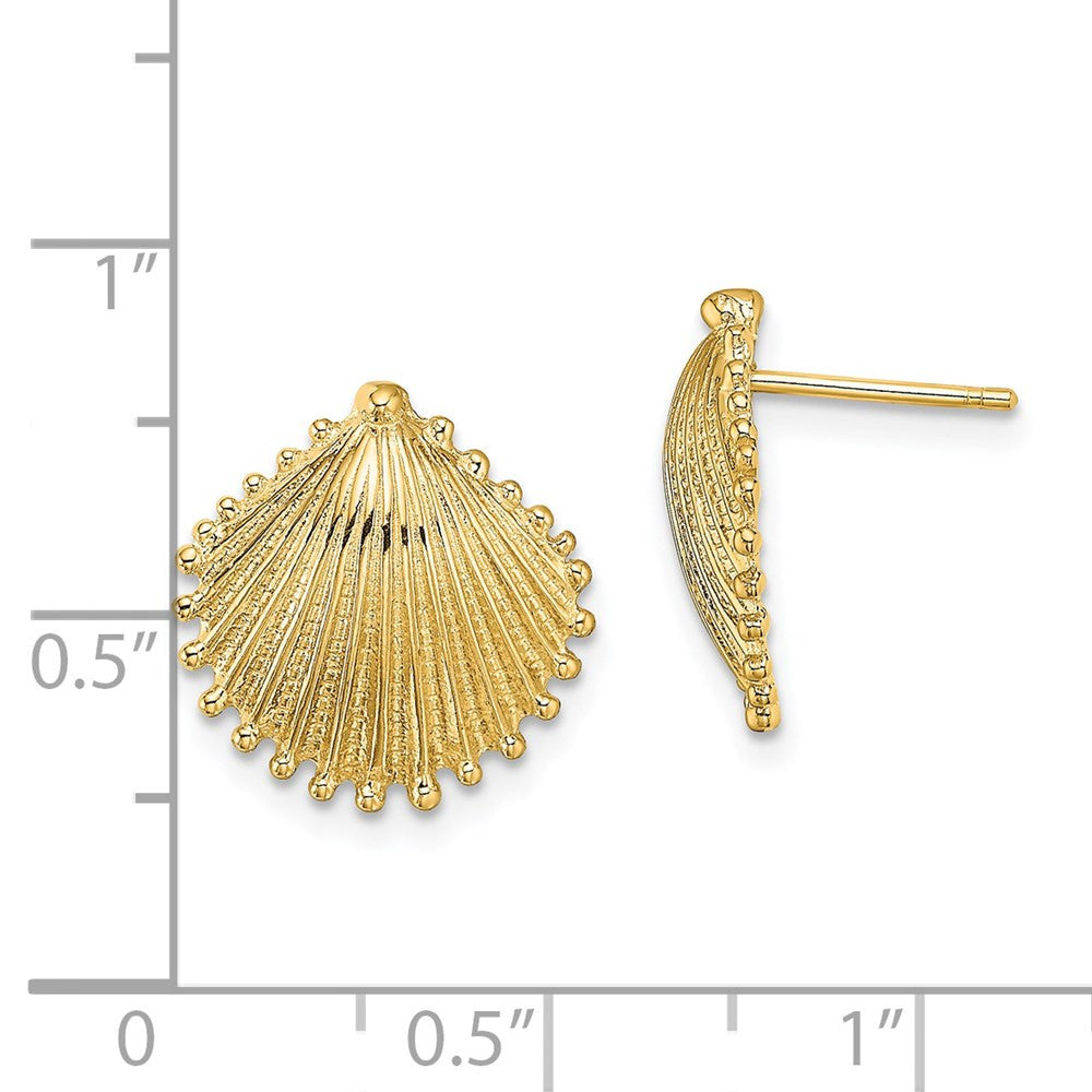 14k Yellow Gold Scallop Shell Stud Earrings