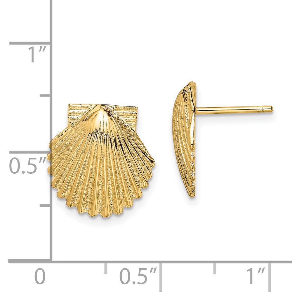 14k Yellow Gold 2-D Polished Scallop Shell Stud Earrings